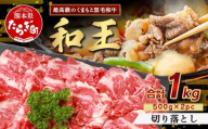 【4月発送】くまもと黒毛和牛(和王) 切り落とし 1kg(500g×2)  ブランド牛 肉 きりおとし すきやき すき焼き 焼肉 焼き肉 牛肉 国産 プレミアム品質 122-0509-04