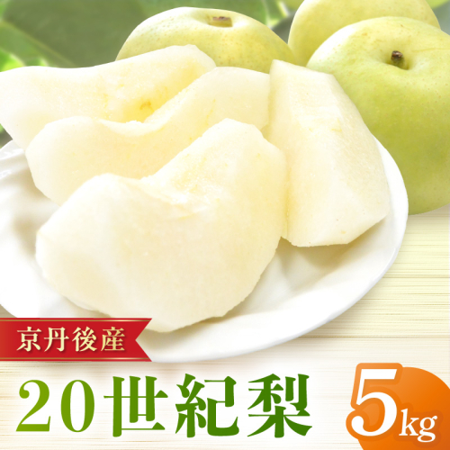 【先行予約／数量限定150】20世紀梨 5kg（2026年9月上旬～発送）
 2402978 - 京都府京丹後市