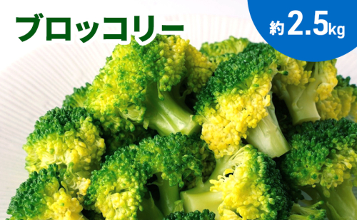 ブロッコリー　約２.5kg 2403092 - 香川県土庄町