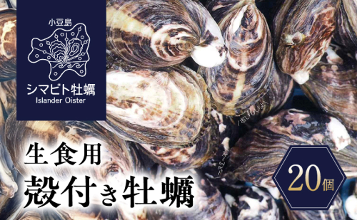 【 小豆島 】小豆島産 シマビト牡蠣　生食用殻付き牡蠣　20個　牡蠣 カキ 生牡蠣 生食用 殻付き シマビト 香川県 2403100 - 香川県土庄町
