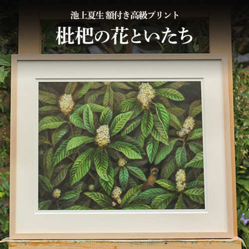 池上夏生 額付き高級プリント ”枇杷の花といたち” 2403103 - 香川県土庄町