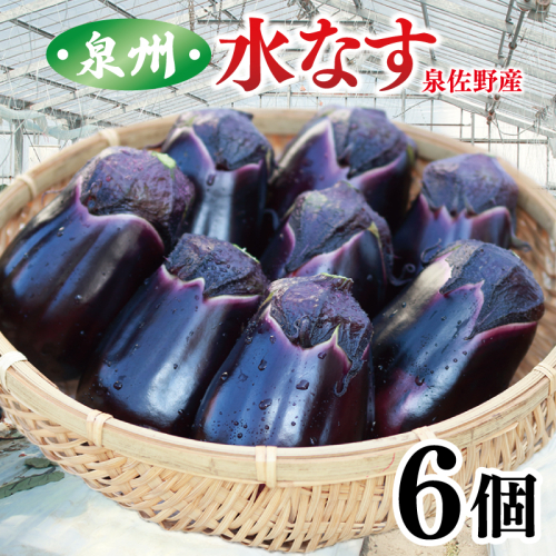 泉州 泉佐野市産 ハウス水なす 6個【茄子 泉佐野産 とれたて 新鮮野菜 やさい 高評価 数量限定】 005A759 2403112 - 大阪府泉佐野市