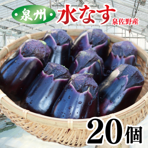 泉州 泉佐野市産 ハウス水なす 20個 夏旬の水なすを冬にどうぞ｜ 099H4104 2403113 - 大阪府泉佐野市