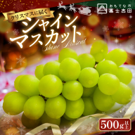 【クリスマスに届く】ジューシーで甘さ抜群　厳選シャインマスカット500g 【2025年12月発送】