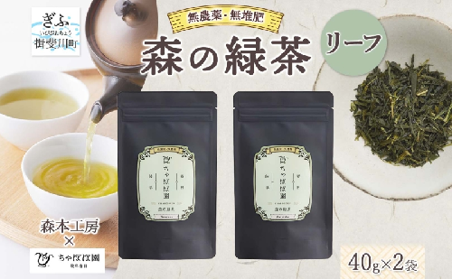 森本工房 森の緑茶 リーフ 40g 2袋 お茶 茶 緑茶 日本茶 茶葉 煎茶 国産 日本産 岐阜県産 香り豊か うまみ 香り 急須 ホット アイス すっきり 甘み 苦味 お好み 一番茶 ちゃぼぼ園 日本のマチュピチュ お取り寄せ 送料無料 岐阜県 揖斐川市 2403135 - 岐阜県揖斐川町