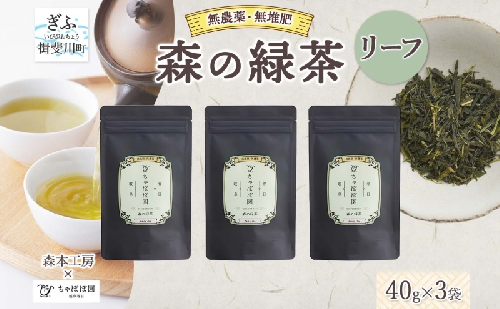 森本工房 森の緑茶 リーフ 40g 3袋 お茶 茶 緑茶 日本茶 茶葉 煎茶 国産 日本産 岐阜県産 香り豊か うまみ 香り 急須 ホット アイス すっきり 甘み 苦味 お好み 一番茶 ちゃぼぼ園 日本のマチュピチュ お取り寄せ 送料無料 岐阜県 揖斐川市 2403136 - 岐阜県揖斐川町