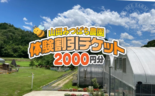 ［山田みつばち農園］体験割引チケット（2000円分）049-a001 2403558 - 岡山県鏡野町
