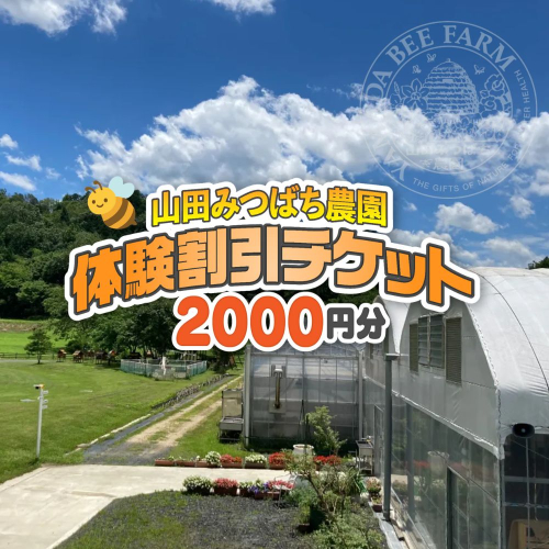 ［山田みつばち農園］体験割引チケット（2000円分）049-a001 2403558 - 岡山県鏡野町