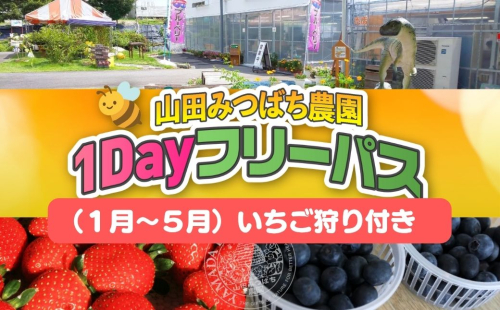 ［山田みつばち農園］1Dayフリーパス（1月～5月）いちご狩り付き 049-a002 2403559 - 岡山県鏡野町
