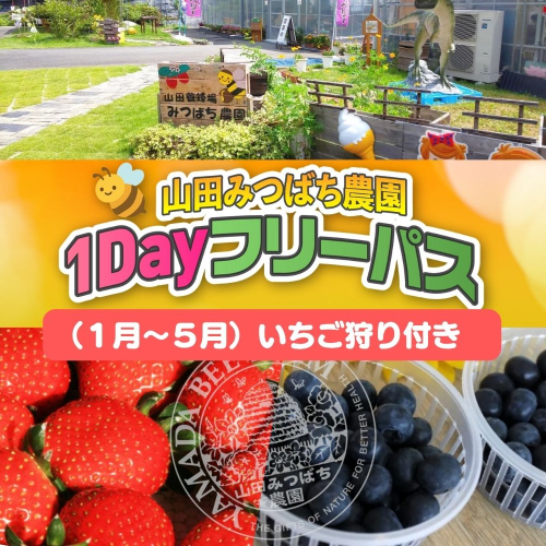 ［山田みつばち農園］1Dayフリーパス（1月～5月）いちご狩り付き 049-a002 2403559 - 岡山県鏡野町