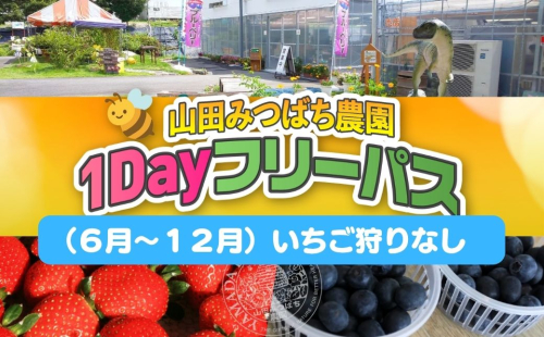 ［山田みつばち農園］1Dayフリーパス（6月～12月）※いちご狩りなし 049-a003 2403560 - 岡山県鏡野町