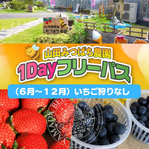 ［山田みつばち農園］1Dayフリーパス（6月～12月）※いちご狩りなし 049-a003 2403560 - 岡山県鏡野町