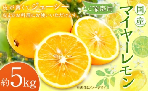 【ご家庭用】国産マイヤーレモン5kg レモン 檸檬 れもん 柑橘 くだもの 果物 フルーツ 果実 国産 熊本県 益城町 2403566 - 熊本県益城町