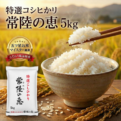【令和７年産】特選こしひかり　「常陸の恵」5kg 【 お米 五ツ星 お米マイスター HACCP 取得 低温精米 高品質 ご飯 美味しい米 ブランド米 特産物 あさや米穀 茨城県 日立市 】 2403575 - 茨城県日立市