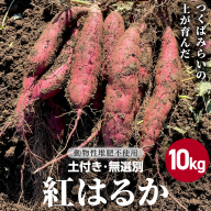茨城県産 紅はるか 10kg 土付き 無選別 熟成 さつまいも 生芋 芋 サツマイモ 甘い 焼き芋 スイートポテト ねっとり つくばみらい市 茨城県産 [FA04-NT]