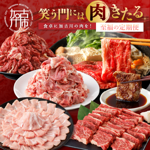「笑う門には肉きたる」食卓に加古川の肉を！至福の定期便《 お肉 牛肉 豚肉 定期便 志方牛 カルビ ローストビーフ ポーク バーベキュー しゃぶしゃぶ すき焼き 》【2507A00202】 2403583 - 兵庫県加古川市
