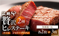 【年内発送】＼ 飛騨牛5等級 希少肉 ステーキ ／ 飛騨牛 シャトーブリアン ＆ テート 各2枚 希少 飛騨牛 A5 飛騨市推奨特産品 熟成 ヒレ テート シャトーブリアン ステーキ 肉 牛肉 和牛 黒毛和牛 セット お楽しみ 2人前 古里精肉店 130000円