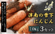 【令和8年産先行予約】津南の雪下にんじん 10kg 3セット 新潟県 津南町