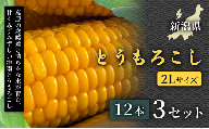 【令和8年産先行予約】【甘みたっぷりシャキシャキ食感】令和8年とうもろこし（12本）2Lサイズ 3セット 産地直送 高級野菜 自然の甘み 極甘スイートコーン フルーツとうもろこし 子どもが喜ぶ 旬の味覚  BBQ用とうもろこし アウトドア食材 離乳食におすすめ 夏野菜 健康野菜 栄養満点 美容 免疫力アップ ご当地グルメ 安心安全 品質保証 リピート ランキング