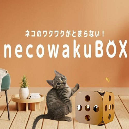 necowakuBOX｜ネコ 猫 ねこ おもちゃ ペット ペット用品 2403773 - 山梨県都留市