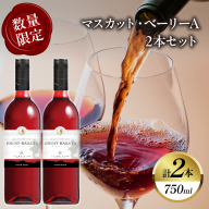 【数量限定】マスカット・ベーリーA 2本セット ワイン 酒 飲料 アルコール 国産_T014-0545