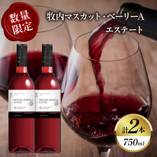 【数量限定】牧内マスカット・ベーリーAエステート 2本セット ワイン 酒 アルコール 国産_T014-056 2403778 - 宮崎県都農町