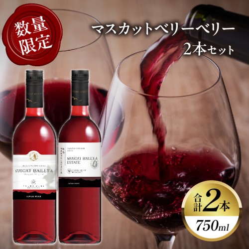 【数量限定】マスカットベリーベリー2本セット ワイン 酒 飲料 アルコール 国産_T014-057 2403779 - 宮崎県都農町