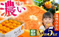 【先行予約】＜サイズおまかせ＞高知県産温州みかんA級品 約5kg ＜2026年11月上旬～2026年12月下旬頃発送＞/ みかん 柑橘 オレンジ 高知県 温州 【株式会社にしごみ】 [ATEA009]