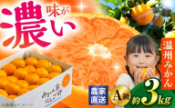 【先行予約】＜サイズおまかせ＞高知県産温州みかんA級品 約3kg ＜2026年11月上旬～2026年12月下旬頃発送＞/ みかん 柑橘 オレンジ 高知県 温州 【株式会社にしごみ】 [ATEA010]