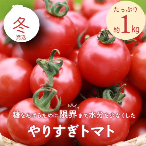【先行予約】やりすぎトマト（4パック計約1kg）（冬季）（2026年12月上旬以降発送） 2404019 - 京都府京丹後市