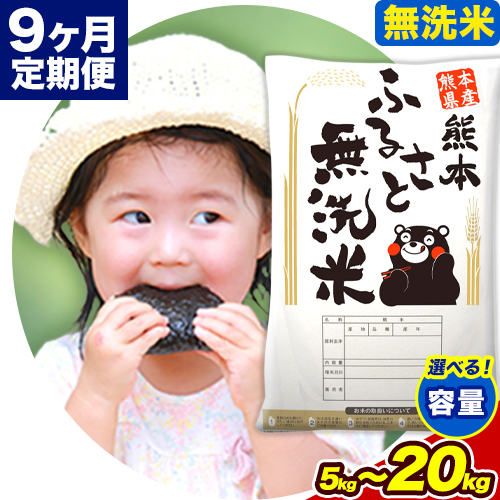 【9ヶ月定期便】無洗米 訳あり 熊本ふるさと無洗米 選べる内容量 5kg 10kg 15kg 20kg 《申し込みの翌月から出荷》 熊本県産 無洗米 精米 御船町  米 コメ 無洗米 ヒノヒカリ 使用 訳あり おこめ お米 熊本 ふるさと無洗米 2404033 - 熊本県御船町