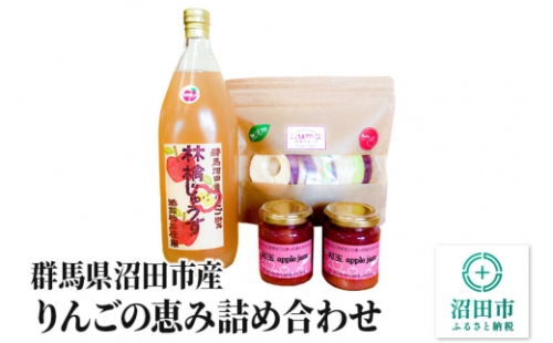 群馬県沼田市産 りんごの恵み詰め合わせ [林檎 りんご リンゴ 国産 フルーツ ジュース] 240515 - 群馬県沼田市
