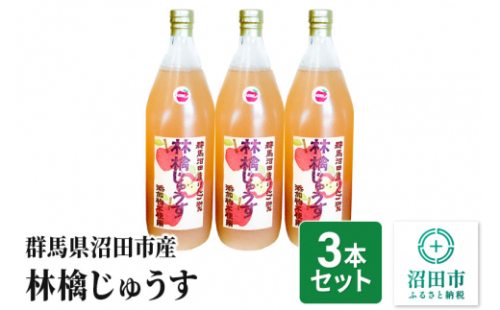 群馬県沼田市産 林檎じゅうす1000ml（リンゴジュース）3本セット [林檎 りんご リンゴ 国産 フルーツ ジュース] 240516 - 群馬県沼田市