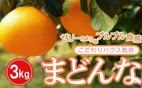 ハウス栽培 正品 まどんな 3kg みかん 13000円 愛果28号 紅まどんな 同品種 あいか アイカ 高級 人気 ブランド 柑橘 果物 フルーツ 期間限定 産地直送 国産 農家直送 特産品 お取り寄せ ギフト プレゼント お歳暮 mikan 蜜柑 ミカン マドンナ スマイルカット 甘い おいしい ゼリー ぷるぷる 前田ファーム 愛南町 愛媛県 2406433 - 愛媛県愛南町