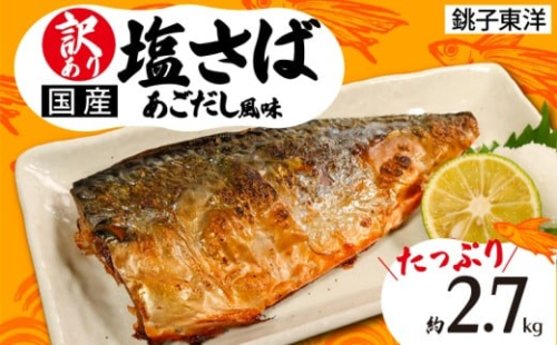 訳あり 国産 塩さば あごだし風味 約2.7kg 鯖 さば 塩鯖 フィーレ フィレ 国内産 出汁 味付き 味付け 魚介類 魚 魚貝 魚介 海鮮 水産 人気 冷凍 大容量 小分け 冷凍食品 酒 さけ おかず 惣菜 弁当 不揃い 規格外 訳アリ 訳有 傷 グルメ お取り寄せ 贈答 贈物 プレゼント 贈り物 長期保存 ギフト 小分け ふるさと納税 ふるさと納税鯖 送料無料 千葉県 銚子市 銚子東洋