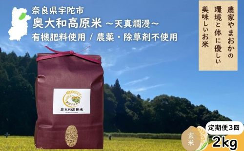 【定期便3回】天真爛漫 奥大和高原米 ＜令和7年産 玄米 2kg＞ ／ ふるさと納税 無農薬 米 お米 こめ コメ 国産 新米 玄米 一等米 農家やまおか 有機肥料使用 農薬不使用 除草剤不使用 奈良県 宇陀市 2406529 - 奈良県宇陀市