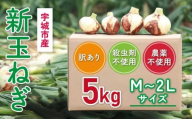 新玉ねぎ 約5kg 訳あり 玉ねぎ たまねぎ 国産 野菜 春野菜 サイズ混合 産地直送 産直 数量限定 季節限定【2026年2月中旬～3月上旬発送】【木戸口菜園】