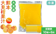 【定期便6回】大見柑果汁(冷凍) 1kg入り 10個×6回 不知火 不知火果汁 しらぬい デコポンと同品種 ジュース アイス お菓子 料理 爽やか 柑橘 果物 くだもの フルーツ 熊本県産 九州産 国産 宇城市産 株式会社la Nui.