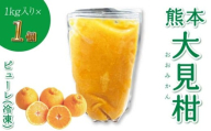 熊本大見柑ピューレ(冷凍) 1kg入り 1個 不知火 不知火果汁 しらぬい デコポンと同品種 ピューレ アイス お菓子 料理 爽やか 柑橘 果物 くだもの フルーツ 熊本県産 九州産 国産 宇城市産 株式会社la Nui.