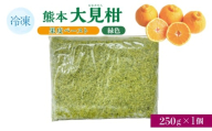 熊本大見柑果皮ペースト 緑色 冷凍 250g入り 1個 不知火 不知火果皮 しらぬい デコポンと同品種 ジュース アイス お菓子 料理 爽やか 柑橘 果物 くだもの フルーツ 熊本県産 九州産 国産 宇城市産 株式会社la Nui.