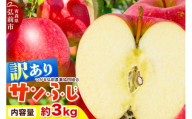 【26年1月～発送】りんご 家庭用【訳あり】サンふじ 約3kg（9～12玉程度）