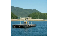[ふるさと納税]しまかげでのんびり海じかん(筏釣り)