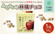 ふぞろいな林檎チョコ【 ふるさと納税 人気 おすすめ ランキング りんご リンゴ 林檎 お菓子 チョコレート チョコ スイーツ 北海道銘菓 北海道 七飯町 送料無料 】NAY019