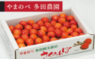 《先行予約》2026年 山形県産 紅秀峰 バラ詰め 約700g L~2Lサイズ以上 やまのべ多田耕太郎のさくらんぼ サクランボ tn-bsxlb700