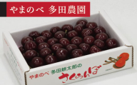 《先行予約》2026年 山形県産 サミット バラ詰め 約700g やまのべ多田耕太郎のさくらんぼ サクランボ tn-smx2b700