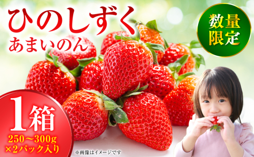 【先行予約】ひのしずく -あまいのん 新鮮 フルーツ 果物 くだもの 苺 いちご イチゴ ストロベリー 旬 熊本 八代 国産 【2026年1月下旬より順次発送】 2408117 - 熊本県八代市