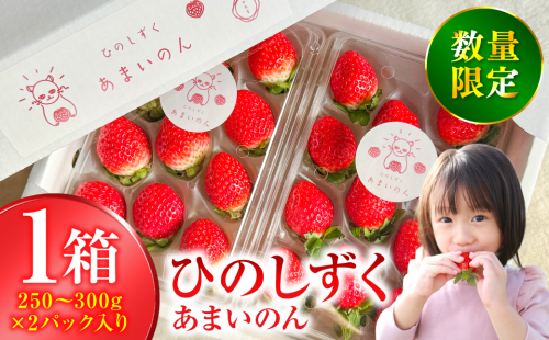 ひのしずく -あまいのん 新鮮 フルーツ 果物 くだもの 苺 いちご イチゴ ストロベリー 旬 熊本 八代 国産 2408117 - 熊本県八代市