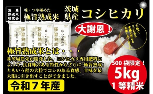 【5kg】茨城県産 コシヒカリ　1等精米5kg ／ 令和7年 新米 米 お米 こめ コメ 精米 白米 ご飯 国産米 5kg 5キロ コシヒカリ こしひかり 甘み 粘り 香り ツヤ おいしい お取り寄せ 産地直送 産直 茨城県 No.865 2408118 - 茨城県坂東市