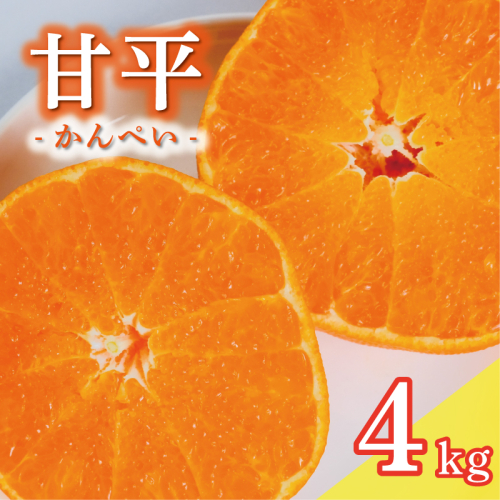 数量限定 先行予約 甘平 4kg 15000円 かんぺい 高級 人気 ブランド プレミアム 産地直送 農家直送 愛媛 みかん mikan 蜜柑 ミカン 国産 期間限定 特産品 フルーツ 果物 柑橘 甘い おいしい お取り寄せ ギフト プレゼント お礼 みかんの山祥 愛南町 愛媛県 2408233 - 愛媛県愛南町