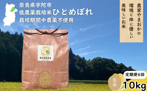 【定期便6回】ひとめぼれ 低農薬栽培＜令和7年産 玄米 10kg ＞ / ふるさと納税 低農薬 米 お米 こめ コメ 国産 新米 玄米 一等米 農家やまおか 奈良県 宇陀市 2408625 - 奈良県宇陀市